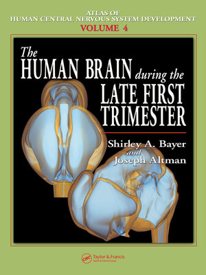 cover image of The Human Brain During the Late First Trimester